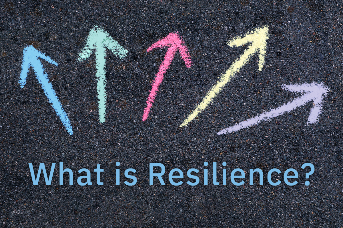 Upcoming Workshop: What is Resilience?