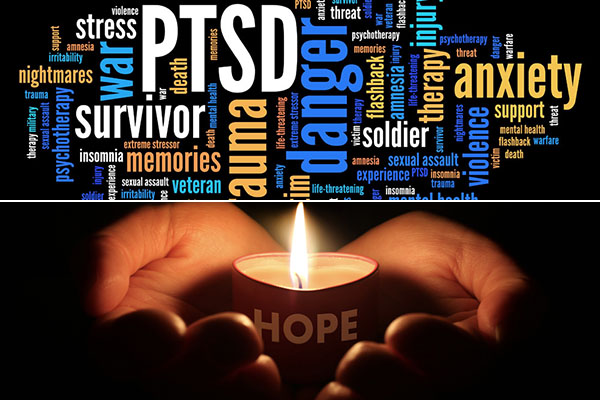 Upcoming PTSD Workshops