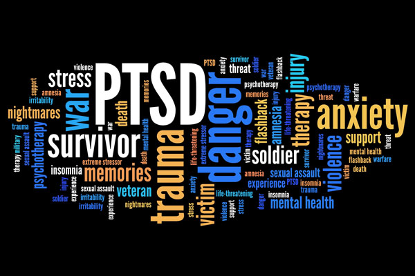Tuesday Workshop: Living with PTSD
