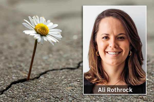 Next Wednesday! Resilience in Practice: Resilient Families