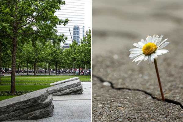 VOICES Webinars – Today & Tomorrow!