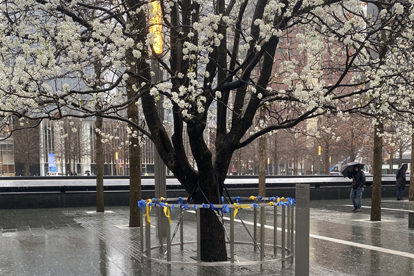 9/11 Health Update - Survivor Program