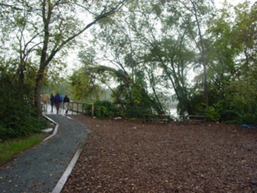September 11 Memorial Grove in Ward 2: Jersey Avenue Park