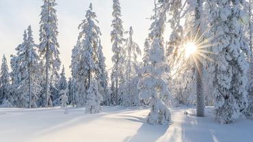 Happy Holidays From Our Family to Yours! 