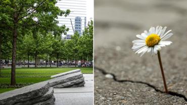 VOICES Webinars – Today & Tomorrow!