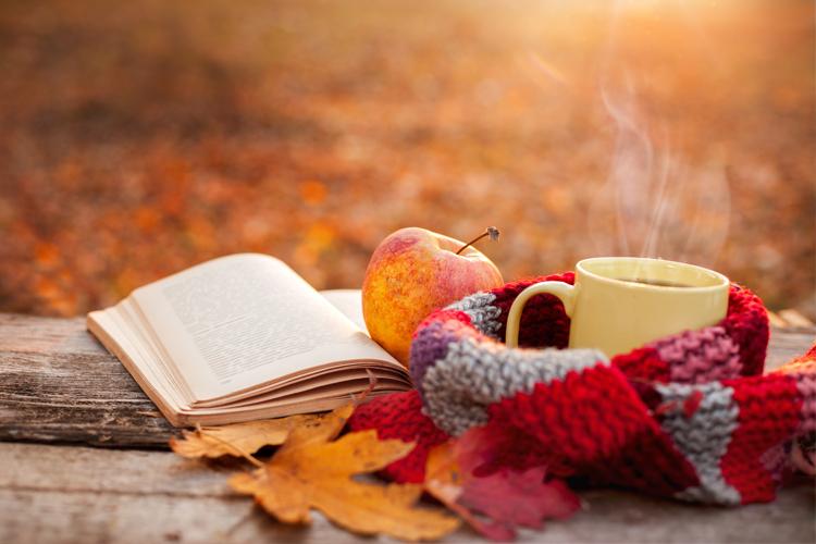 Upcoming Programs - Preparing for the Holidays