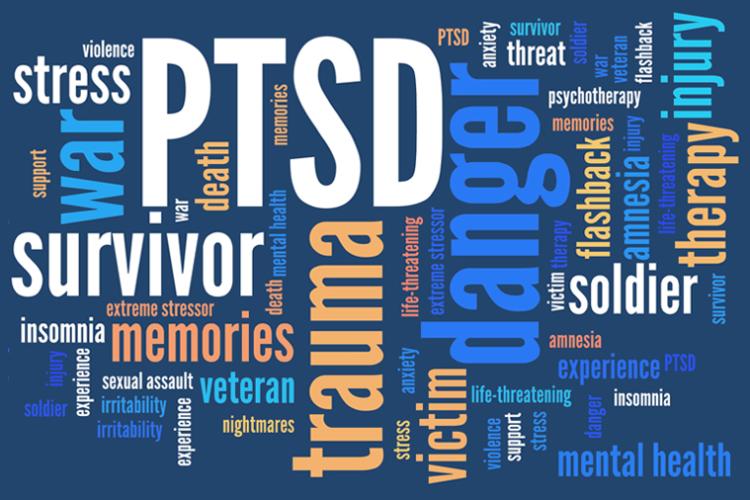 Upcoming Webinar - Pathway to Healing: Recovering from PTSD
