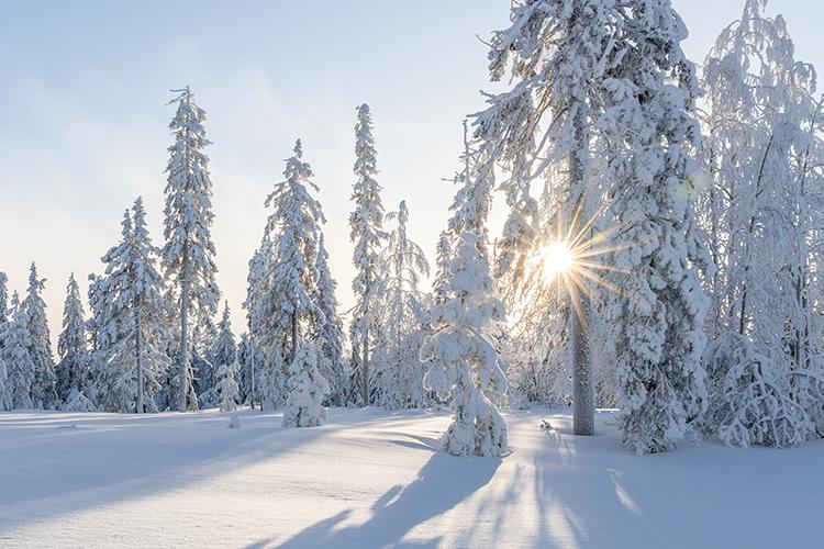 Happy Holidays From Our Family to Yours!