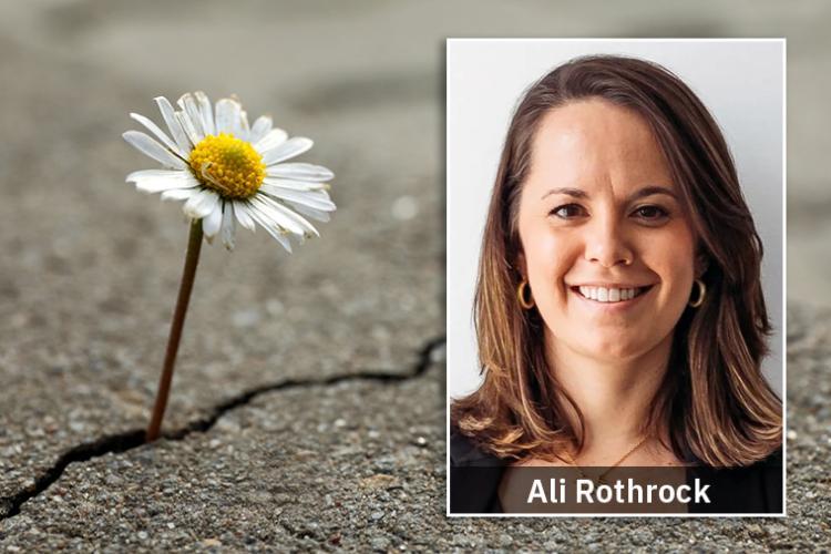 Next Wednesday! Resilience in Practice: Resilient Families