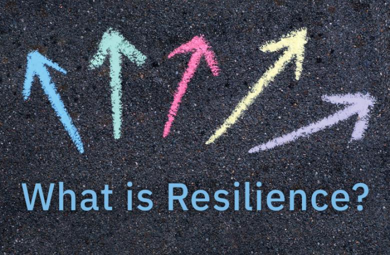  Upcoming Workshop: What is Resilience?