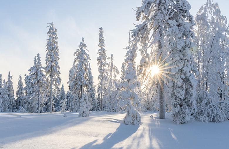 Happy Holidays From Our Family to Yours!